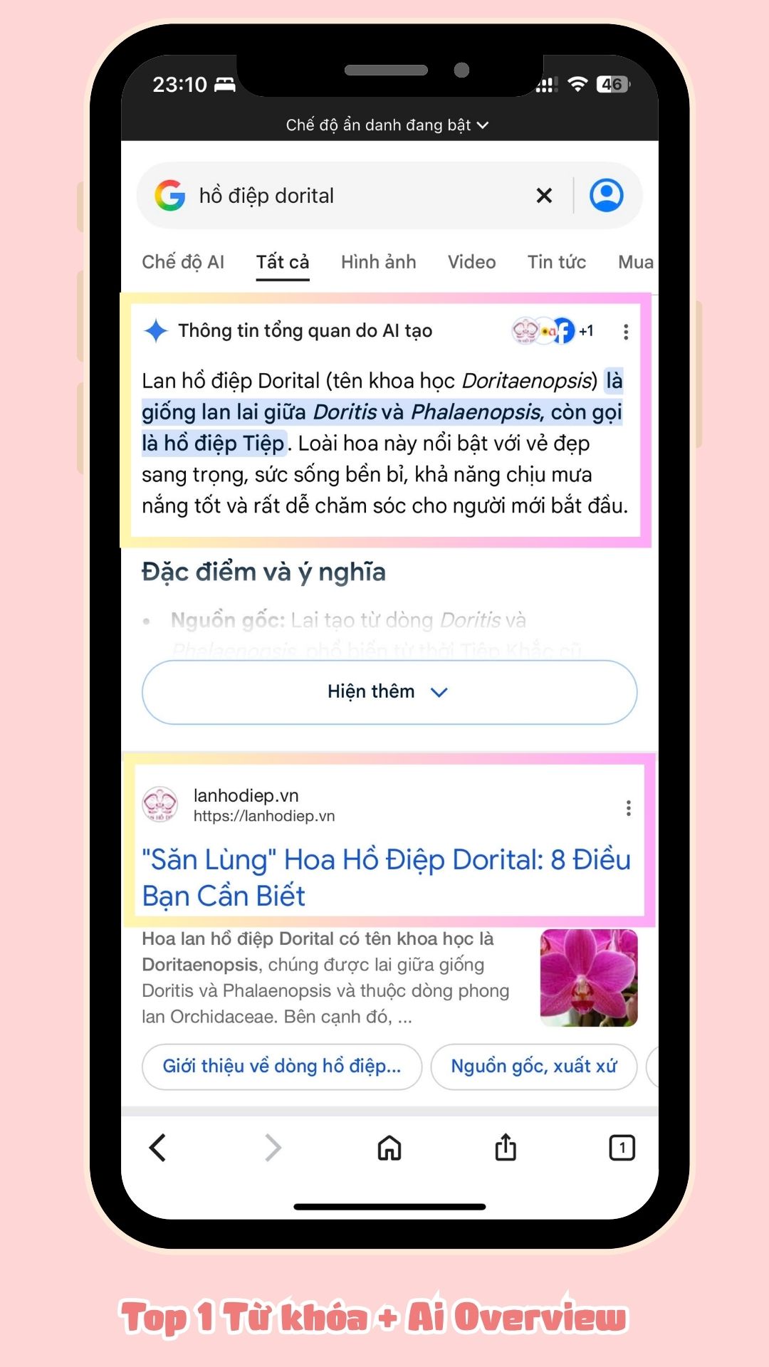 Top 1 từ khóa hồ điệp Dorital