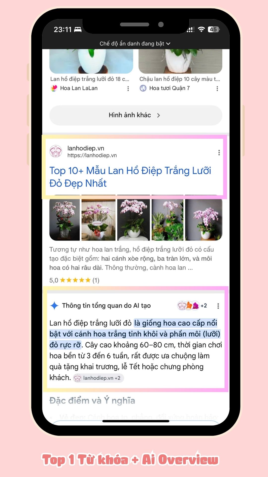 Top 1 từ khóa lan hồ điệp trắng lưỡi đỏ